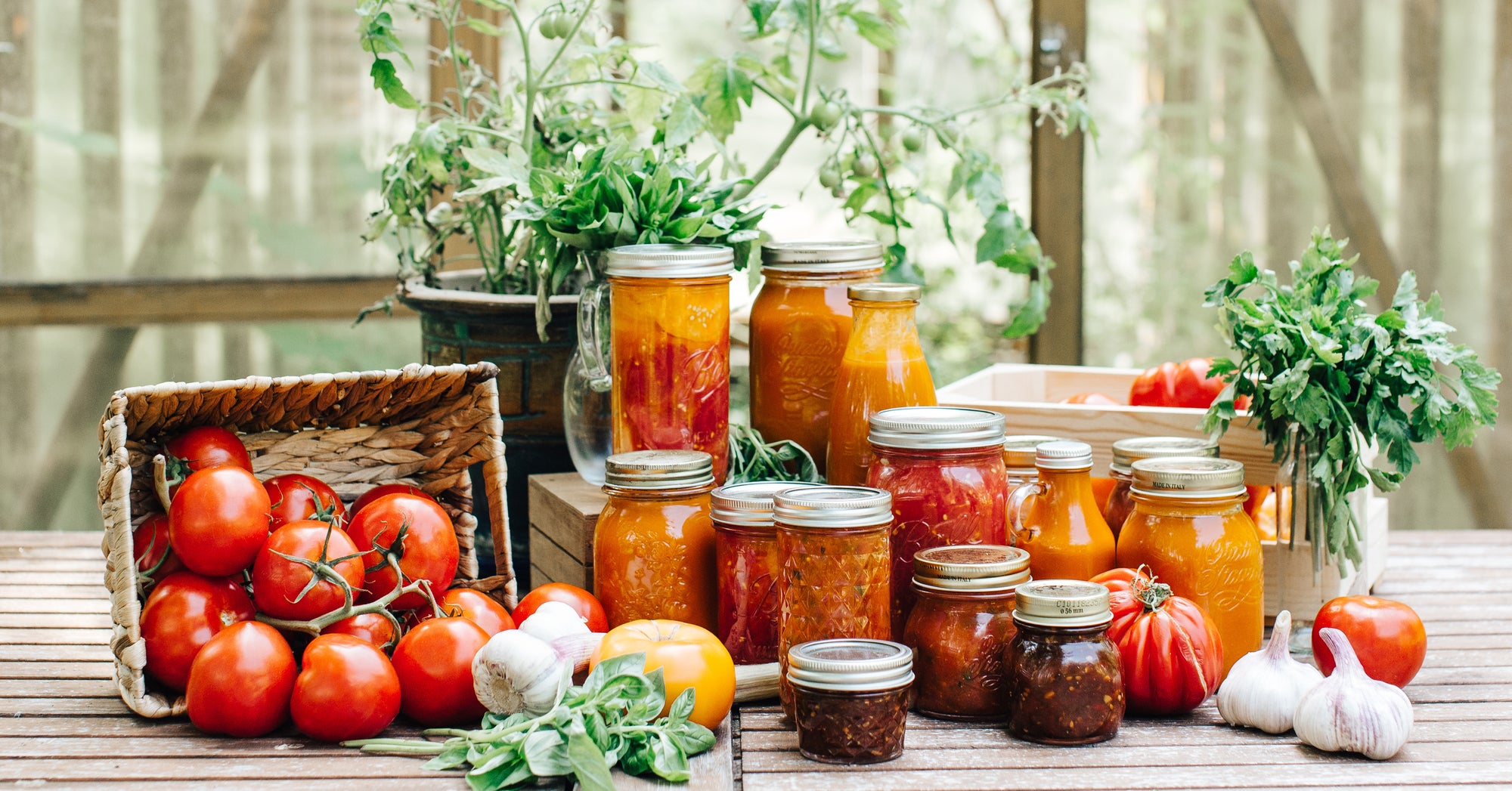 6 Ways to Preserve Garden Vegetables: How to Store your Garden Harvest