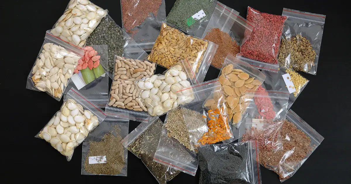 How to Store Seeds for the Long Term: Seed Storage 101