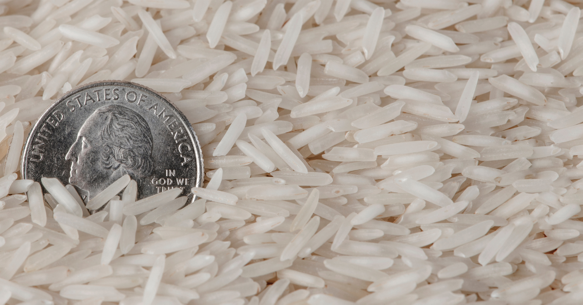 The Global Rice Shortage in 2023 