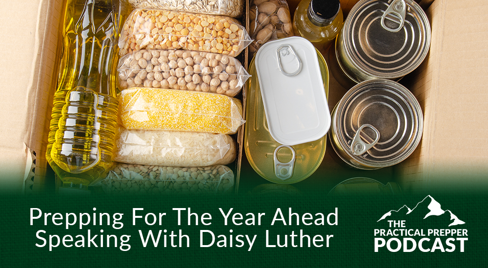Prepping For The Year Ahead | Speaking With Daisy Luther