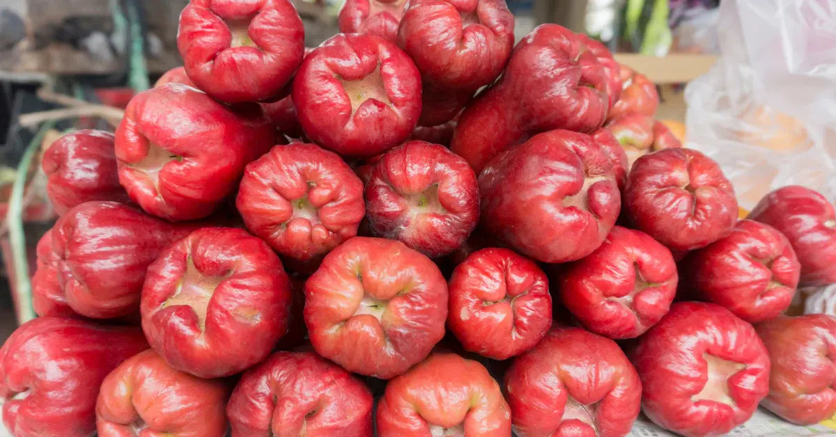 Waxing Cheese, Fruits & Other Foods for Long Term Food Storage