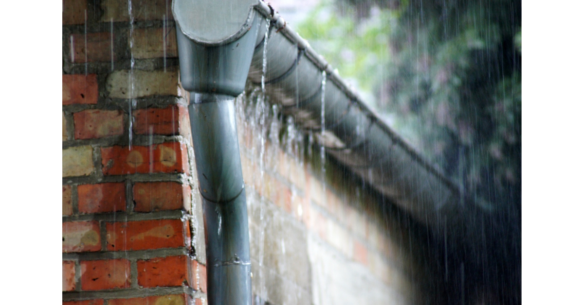 Rain Collection: How Using a Rainwater Collection System Can Help You Survive