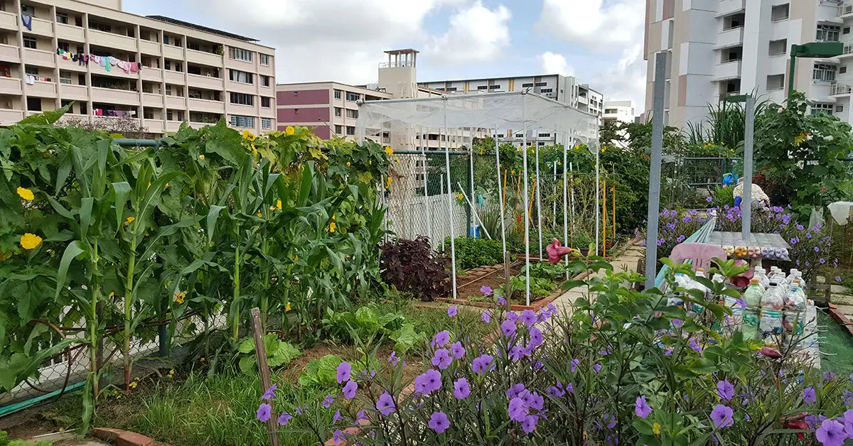 Survival Vegetable Gardens for Small Spaces: Small Space Gardening for Survival