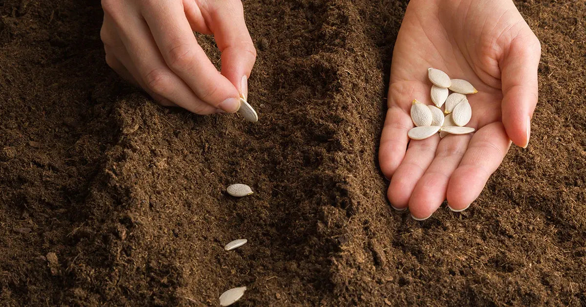 A Prepper's Survival Garden | Survivalist Gardening Guide