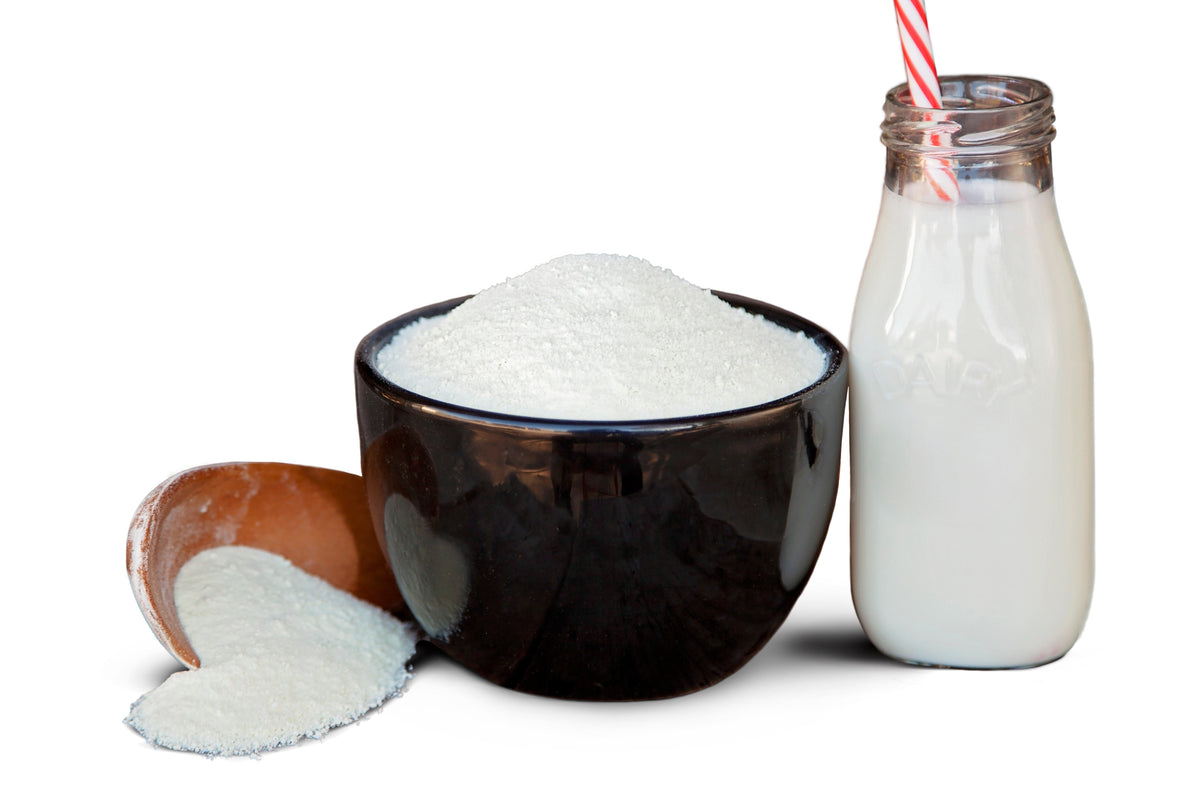 Fortified Powdered Milk | 10 Pack + Bucket DAIRY Freeze Dried Milk | Buy Fortified Powdered Milk for Long Term Storage  From Valley Food Storage